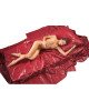 Простирадло - Fetish Collection Lack Patent Leather Sheet Red, 200х230 см Простирадло - Fetish Collection Lack Patent Leather Sheet Red, 200х230 см