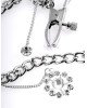 FFS Crystal Nipple Clamps FFS Crystal Nipple Clamps