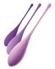FFH Kegel Train-Her Set FFH Kegel Train-Her Set