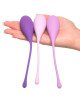 FFH Kegel Train-Her Set FFH Kegel Train-Her Set