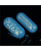 Вагінальні кульки - Ocean's Toner Egg Set III Вагінальні кульки - Ocean's Toner Egg Set III