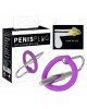Стимулятор уретри - Penis Plug + Silicone Glans Ring Dilator Стимулятор уретри - Penis Plug + Silicone Glans Ring Dilator