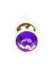 Анальна пробка - Jewellery Gold Butt Plug Purple Анальна пробка - Jewellery Gold Butt Plug Purple