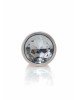 Анальна пробка - Jewellery Pearl Gold Plug Clear L Анальна пробка - Jewellery Pearl Gold Plug Clear L