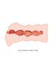 Мастурбатор - Crazy Bull Leila Pocket Masturbator Мастурбатор - Crazy Bull Leila Pocket Masturbator