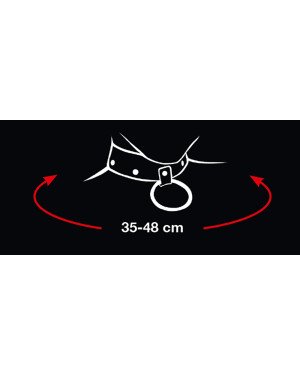 Нашийник з повідком - 2492016 Bad Kitty Collar And Leash