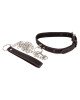 Нашийник з повідком - 2492016 Bad Kitty Collar And Leash Нашийник з повідком - 2492016 Bad Kitty Collar And Leash