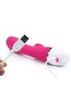 Вібратор - Dreamer II Vibrator Rose Red Вібратор - Dreamer II Vibrator Rose Red