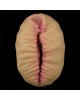 Мастурбатор - Alien's Pie Masturbator #2 Flesh Мастурбатор - Alien's Pie Masturbator #2 Flesh