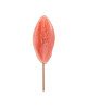 Льодяник Sexy Lollipop Candy Pussy Strawberry, 45 г Льодяник Sexy Lollipop Candy Pussy Strawberry, 45 г