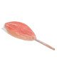Льодяник Sexy Lollipop Candy Pussy Strawberry, 45 г Льодяник Sexy Lollipop Candy Pussy Strawberry, 45 г