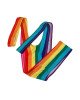 Чоловічі стрінги Rainbow Mankini One Size