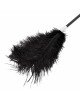 Стек - Fetish B-Series Tickler & Whip 1.0 Стек - Fetish B-Series Tickler & Whip 1.0