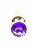 Анальна пробка - Jewellery Gold Butt Plug Purple Анальна пробка - Jewellery Gold Butt Plug Purple