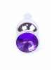 Анальна пробка - Jewellery Silver Long Plug Purple Анальна пробка - Jewellery Silver Long Plug Purple