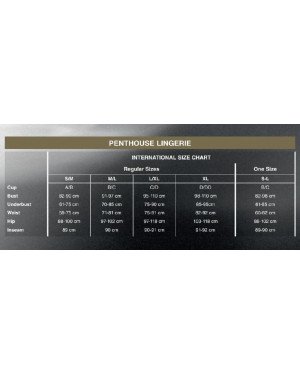Боді Penthouse Salute Me XL Black (дефекти на пакованні!!!) Боді Penthouse Salute Me XL Black (дефекти на пакованні!!!)