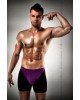 Чоловічі шорти з фіолетовим гульфіком Passion 009 THONG violet S/M Чоловічі шорти з фіолетовим гульфіком Passion 009 THONG violet S/M