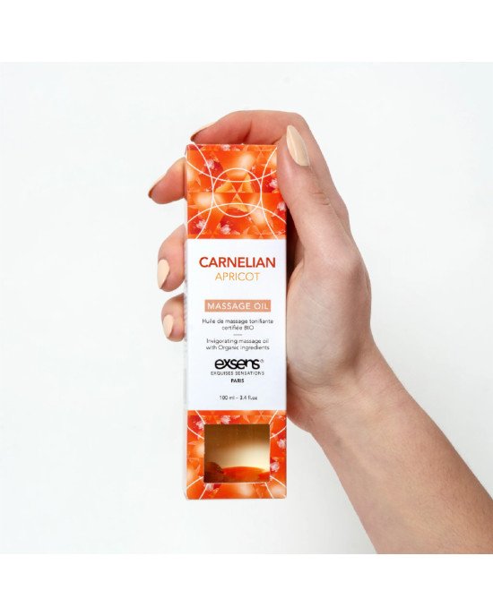 Масажна олія EXSENS Carnelian Apricot (бадьорна з сердоліком) 100мл, натуральна Масажна олія EXSENS Carnelian Apricot (бадьорна з сердоліком) 100мл, натуральна