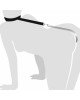 Анальний гак 2 із нашийником з натуральної шкіри Art of Sex - Anal hook, Чорний Анальний гак 2 із нашийником з натуральної шкіри Art of Sex - Anal hook, Чорний