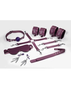 Набір Feral Feelings BDSM Kit 7 Burgundy, наручники, поножі, конектор, маска, паддл, кляп, затискачі