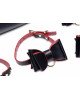 Набір для BDSM Master Series Bow - Luxury BDSM Set With Travel Bag Набір для BDSM Master Series Bow - Luxury BDSM Set With Travel Bag