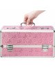 Кейс для зберігання секс-іграшок BMS Factory - Large Lokable Vibrator Case Pink Кейс для зберігання секс-іграшок BMS Factory - Large Lokable Vibrator Case Pink