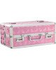 Кейс для зберігання секс-іграшок BMS Factory - Large Lokable Vibrator Case Pink Кейс для зберігання секс-іграшок BMS Factory - Large Lokable Vibrator Case Pink