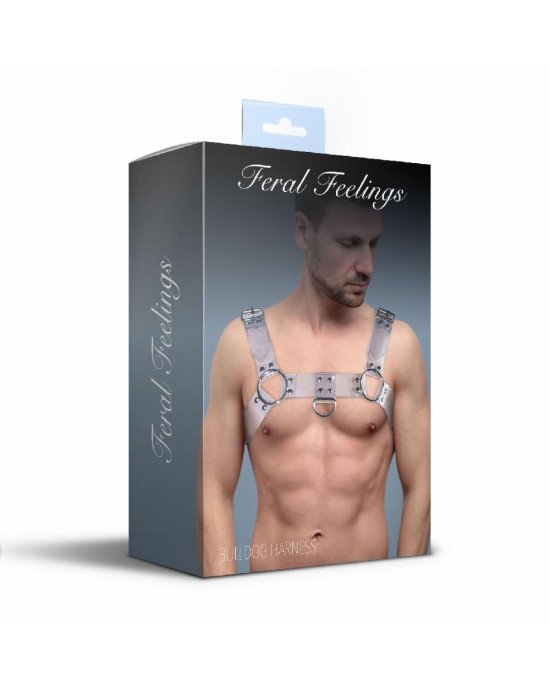 Чоловіча портупея на груди Feral Feelings - Bulldog Harness Trasparent Чоловіча портупея на груди Feral Feelings - Bulldog Harness Trasparent