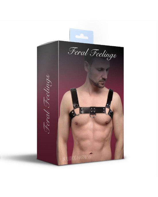 Чоловіча портупея на груди з натуральної шкіри Feral Feelings - Bulldog Harness Black