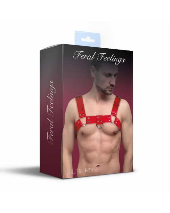 Чоловіча портупея на груди з натуральної шкіри Feral Feelings - Bulldog Harness Red