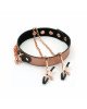 Нашийник із затискачами для сосків Liebe Seele Rose Gold Memory Collar with Nipple Clamps Нашийник із затискачами для сосків Liebe Seele Rose Gold Memory Collar with Nipple Clamps