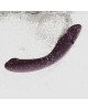 Вібратор для точки G з вакуумною стимуляцією Womanizer OG Aubergine Вібратор для точки G з вакуумною стимуляцією Womanizer OG Aubergine