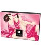 Смачна пудра для оральних пестощів Shunga Body Powder – Raspberry feeling (75 гр)