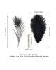 Лоскітка LOCKINK SEVANDA Natural Peacock Flirting Feather Tickler, перо павича