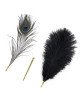 Лоскітка LOCKINK SEVANDA Natural Peacock Flirting Feather Tickler, перо павича