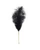 Лоскітка LOCKINK SEVANDA Natural Peacock Flirting Feather Tickler, перо павича