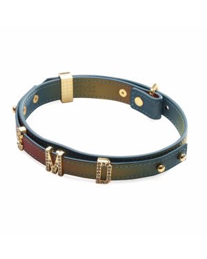 Нашийник LOCKINK Multi-color DIY Alphabet Collar