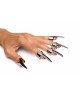 Набір кілець з кігтями Master Series Five-Piece Sensation Claw Rings - Silver Набір кілець з кігтями Master Series Five-Piece Sensation Claw Rings - Silver