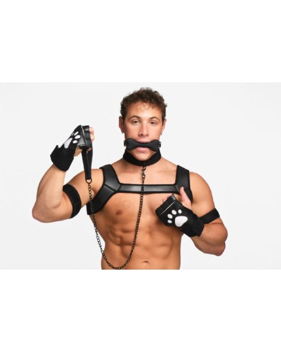 Набір BDSM цуценя Master Series Luxury Pup Arsenal Set - Black Набір BDSM цуценя Master Series Luxury Pup Arsenal Set - Black