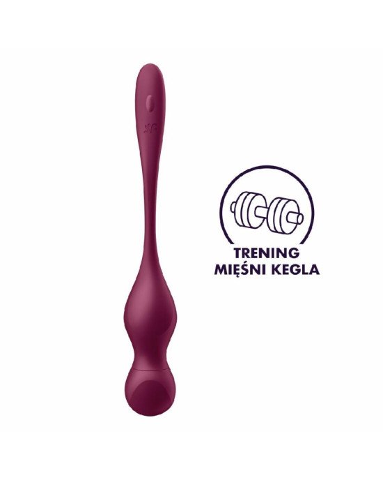 Вагінальні кульки з вібрацією Satisfyer Love Birds Vary Connect App