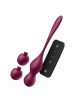 Вагінальні кульки з вібрацією Satisfyer Love Birds Vary Connect App