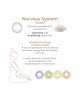Вагінальні кульки Adrien Lastic Harmony Stones Вагінальні кульки Adrien Lastic Harmony Stones
