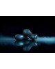 Мастурбатор Dorcel Sili-Cup Dual Sensation Мастурбатор Dorcel Sili-Cup Dual Sensation