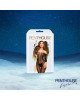 Подарунковий набір Satisfyer Deluxe Advent Calendar 2025 Подарунковий набір Satisfyer Deluxe Advent Calendar 2025