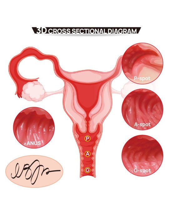 Мастурбатор Kokos 004 Vailla ONAHOLE Real Hips 2WayPlus з вібрацією та масажем Мастурбатор Kokos 004 Vailla ONAHOLE Real Hips 2WayPlus з вібрацією та масажем