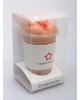 Мастурбатор-вагіна Naked Factory Cup Sleeve V–3, наскрізний Мастурбатор-вагіна Naked Factory Cup Sleeve V–3, наскрізний