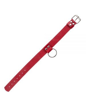 Нашийник Ring of Humiliti, Red Нашийник Ring of Humiliti, Red
