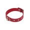 Нашийник Leather Restraints Collar, Red