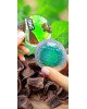 Презервативи ONE Mint Chocolate (ароматизовані) (по 1 шт) (упаковка може відрізнятися кольором та рисом) Презервативи ONE Mint Chocolate (ароматизовані) (по 1 шт) (упаковка може відрізнятися кольором та рисом)